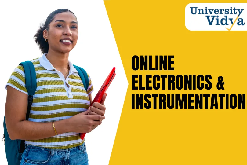 Online Electronics and Instrumentation Engineering