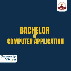 Online BBA