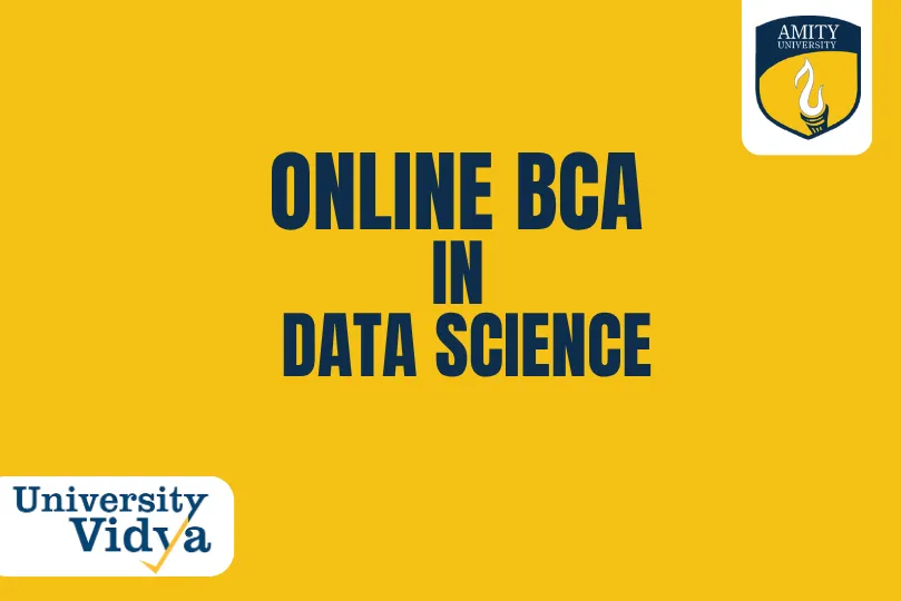 Amity-University-Online-BCA-in-data-science.webp
