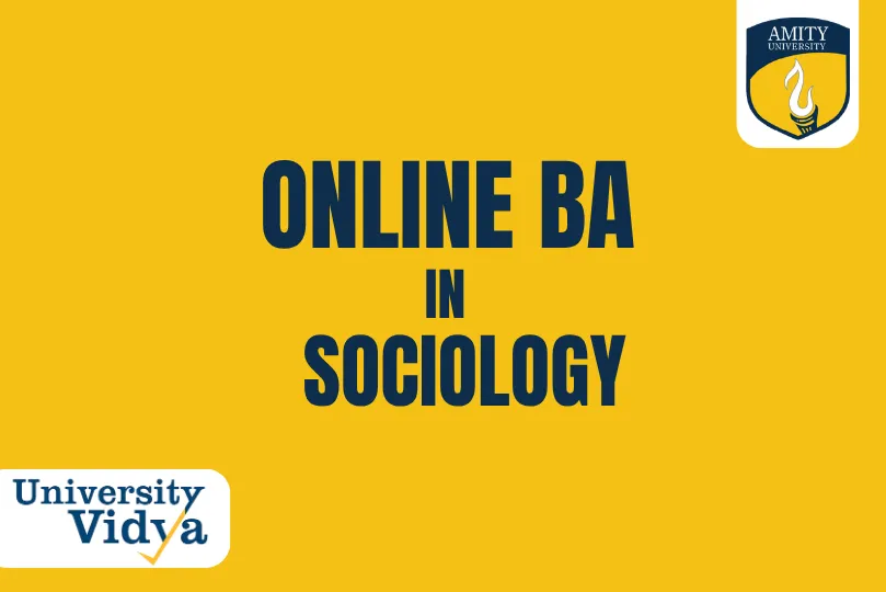 Online BA in Sociology
