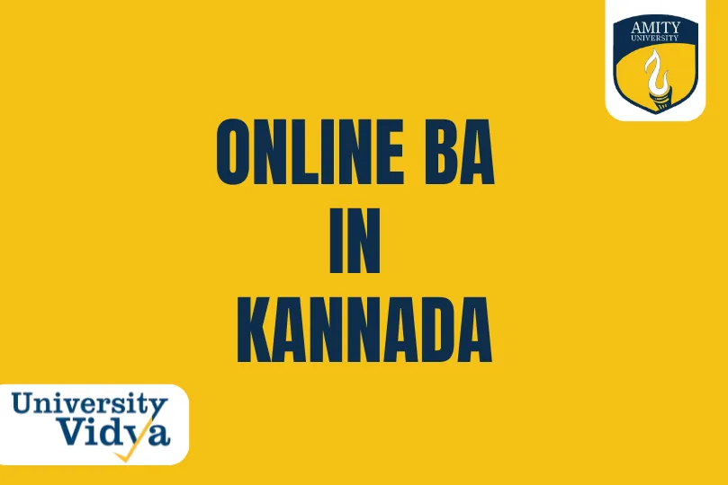 online-ba-in-kannada-amity-university.webp