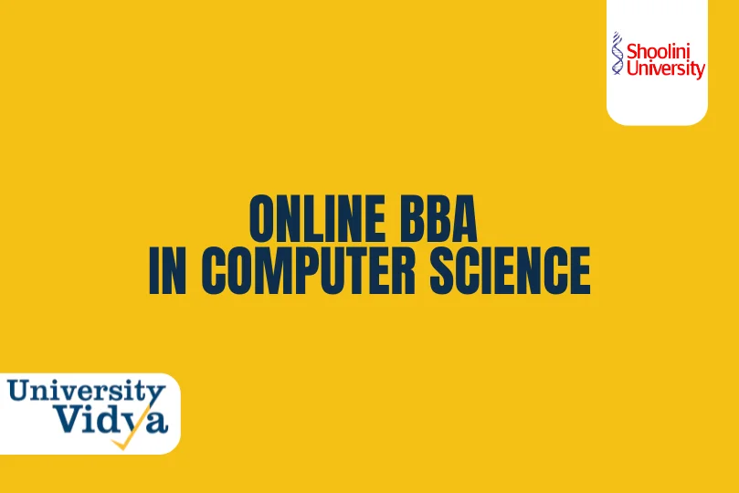 Online BBA in Computer Science