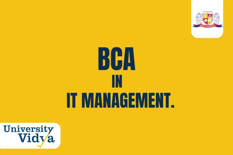 Online BCA in IT Management