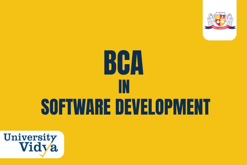 Online BCA in Software Development