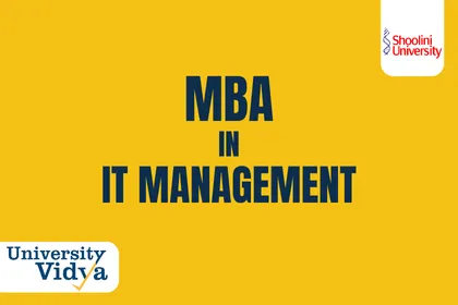 Online MBA in IT Management