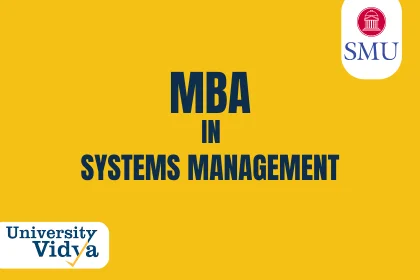 Online MBA in Systems Management