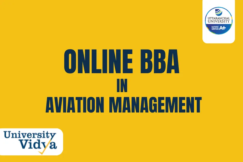 Online BBA in Aviation Management