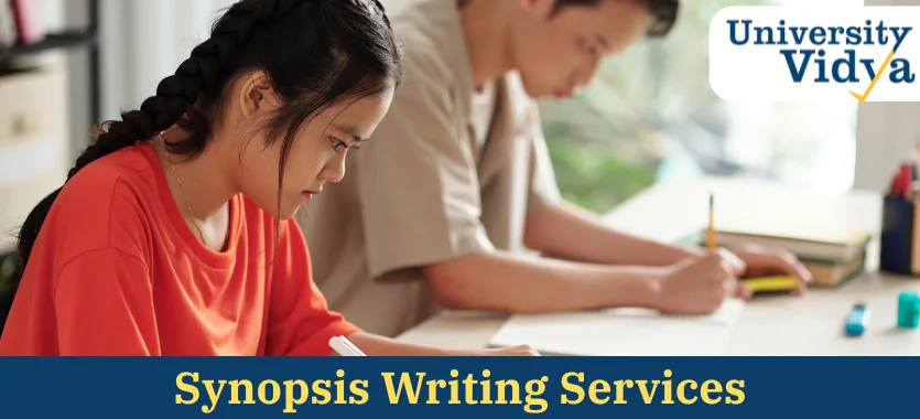 synopsis-writing-services-2.webp
